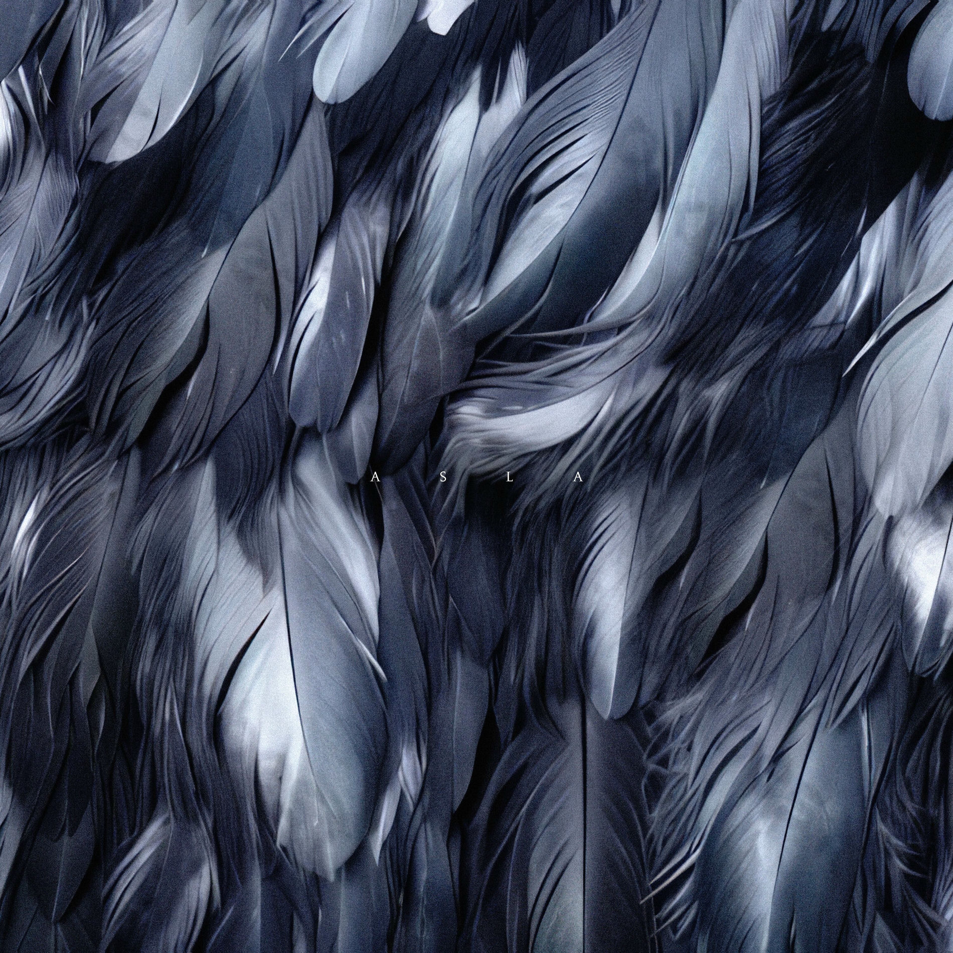 Album cover of Asla