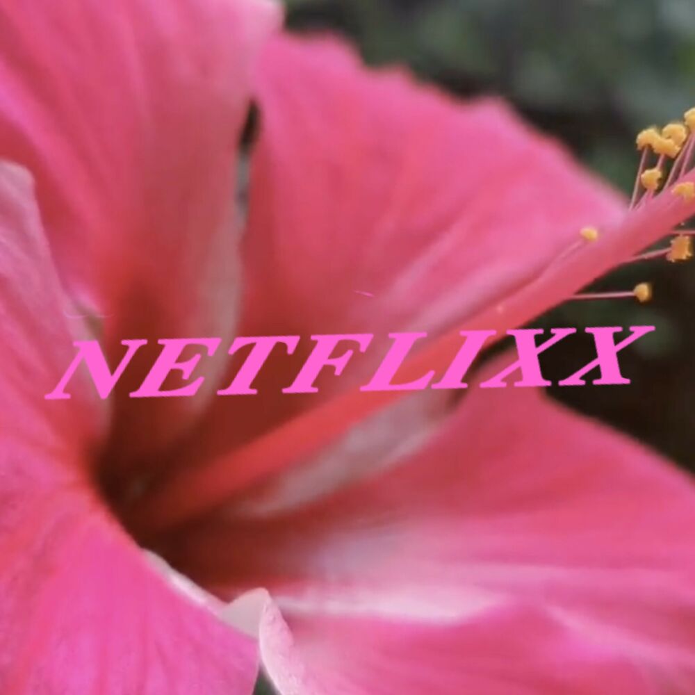 Picture of Netflixx