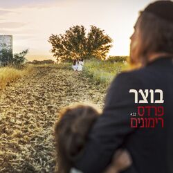 Cover of פרדס רימונים