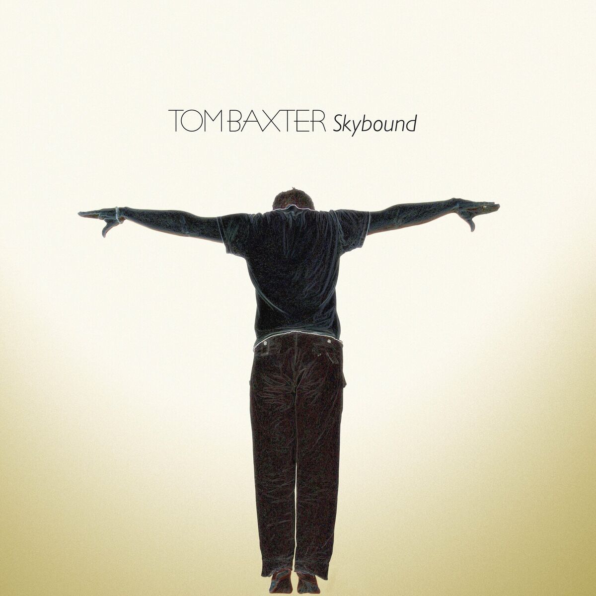 Album cover of Skybound