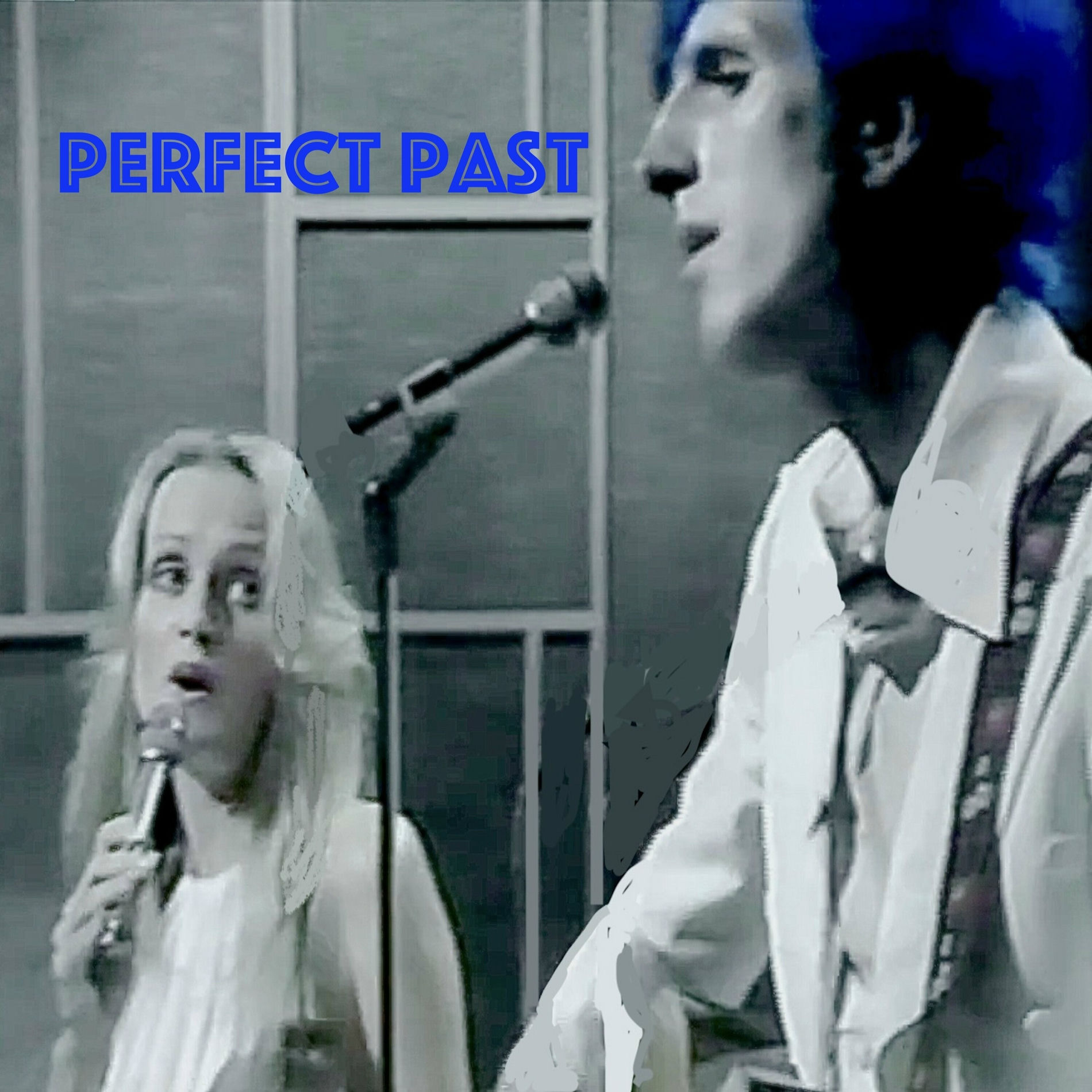 Album cover of Perfect Past (Live)