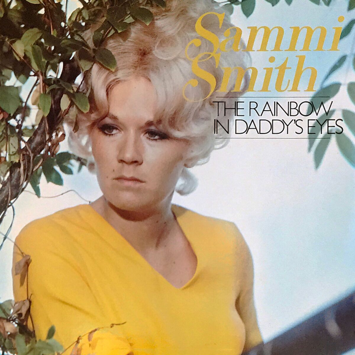 Album cover of The Rainbow in Daddy's Eyes
