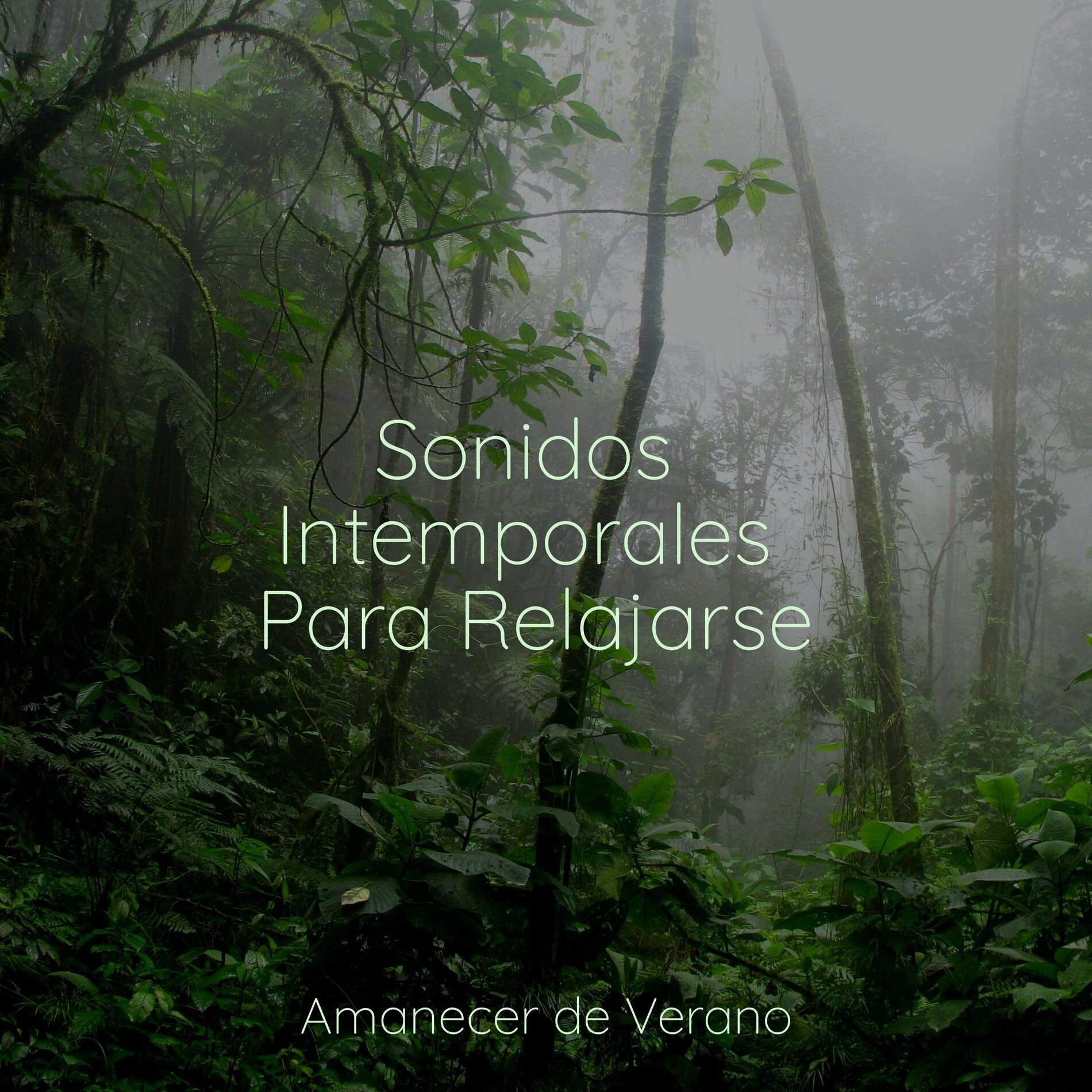 Album cover of Sonidos Intemporales Para Relajarse