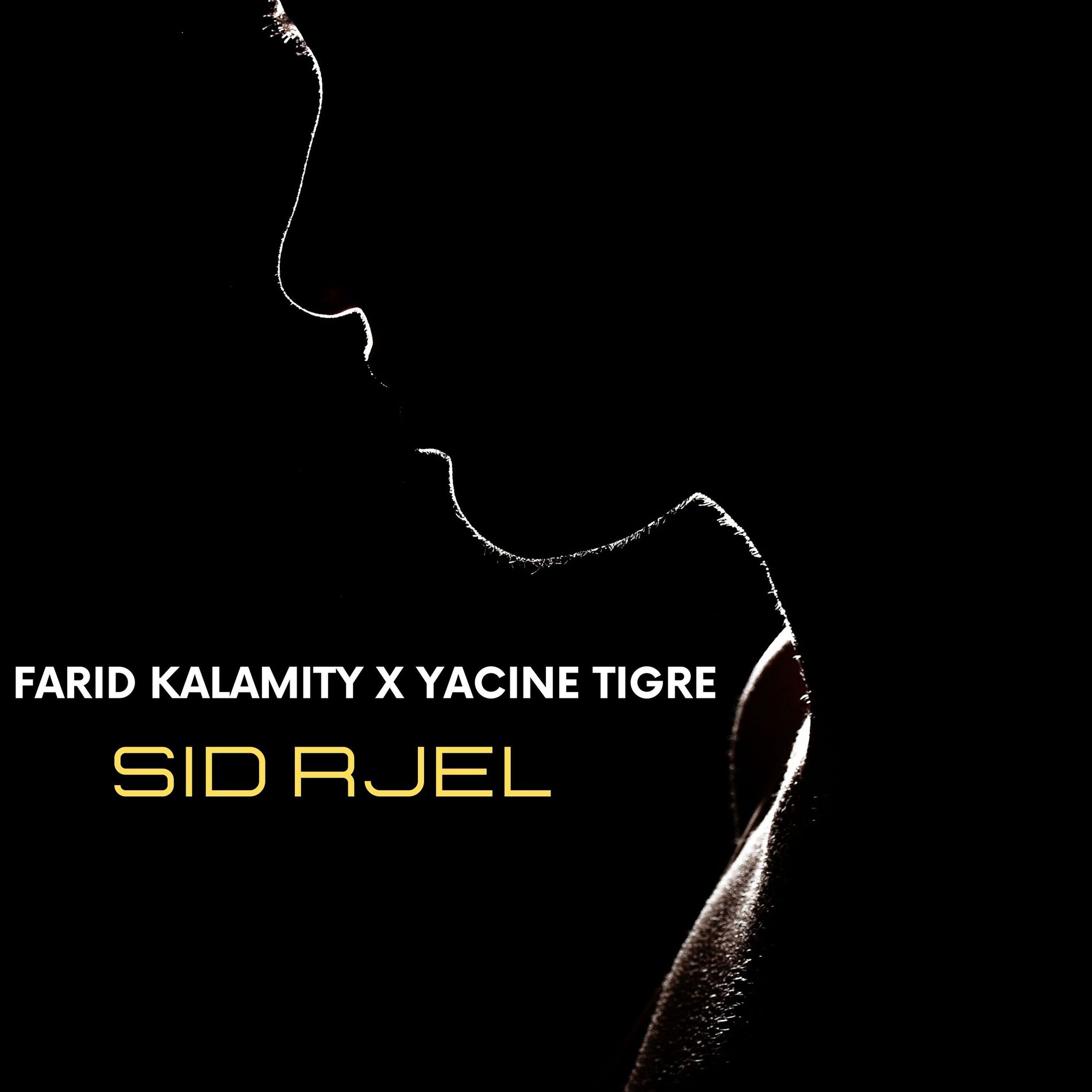 Album cover of Sid Rjel