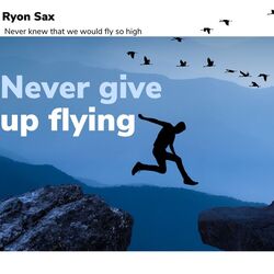 Cover of Never Give up Flying