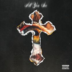 Cover of All You See
