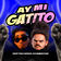AY MI GATITO
