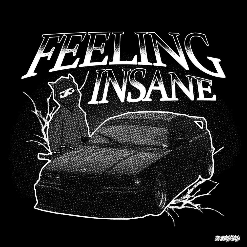 Picture of Feeling Insane