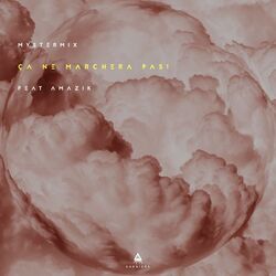 Cover of Ca ne marchera pas!