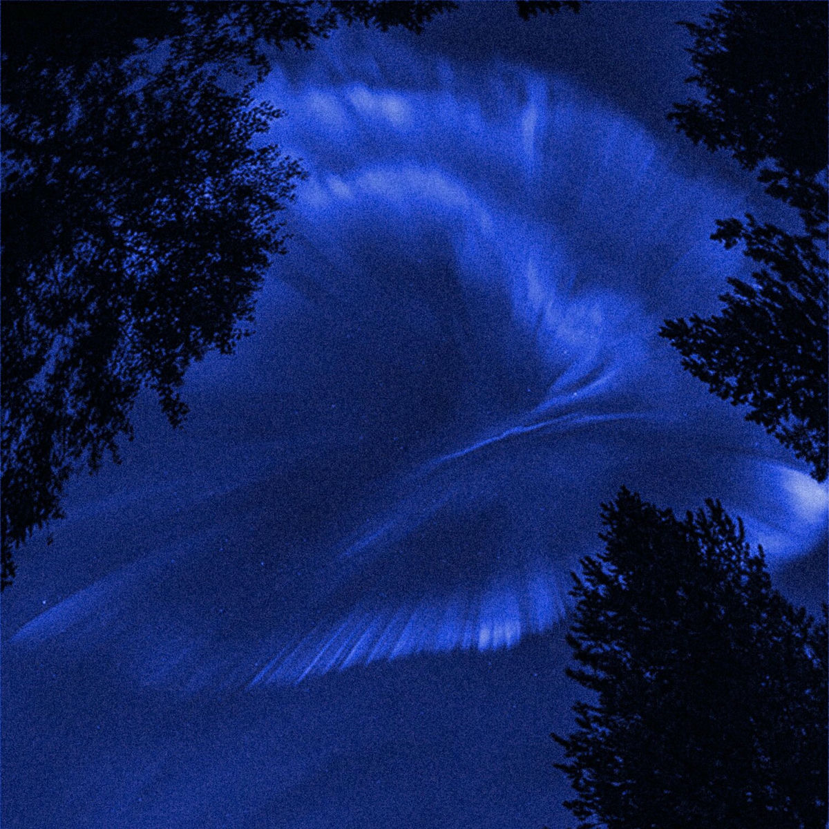 Album cover of Lvly