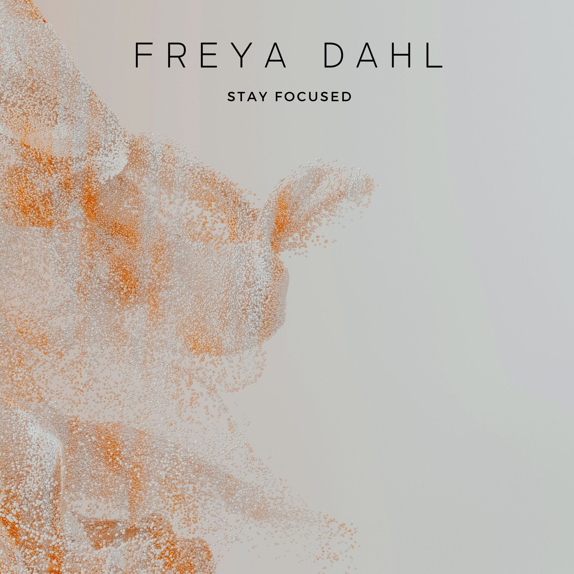 Album cover of Stay Focused