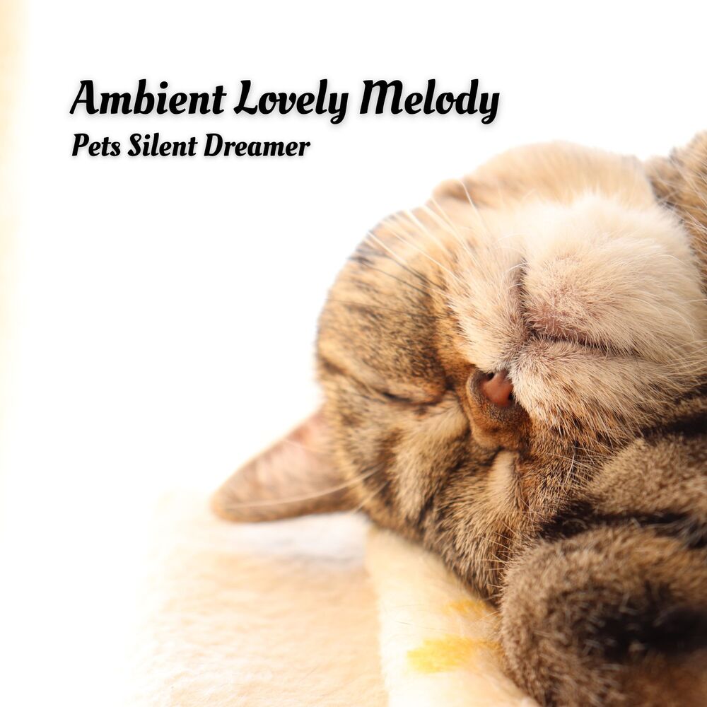 Picture of Ambient Lovely Melody: Pets Silent Dreamer