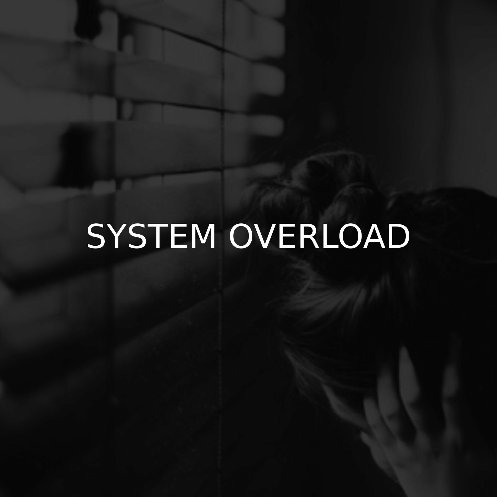 Album cover of System Overload
