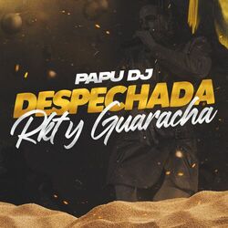 Cover of Despechada Rkt