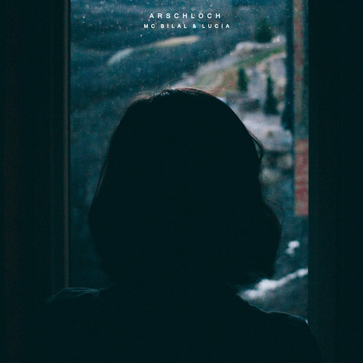 Album cover of Arschloch