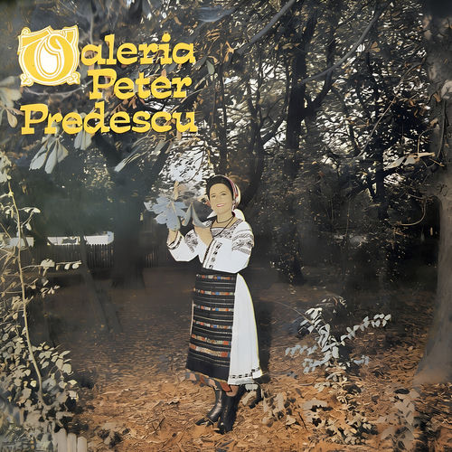 Vecina de peste drum