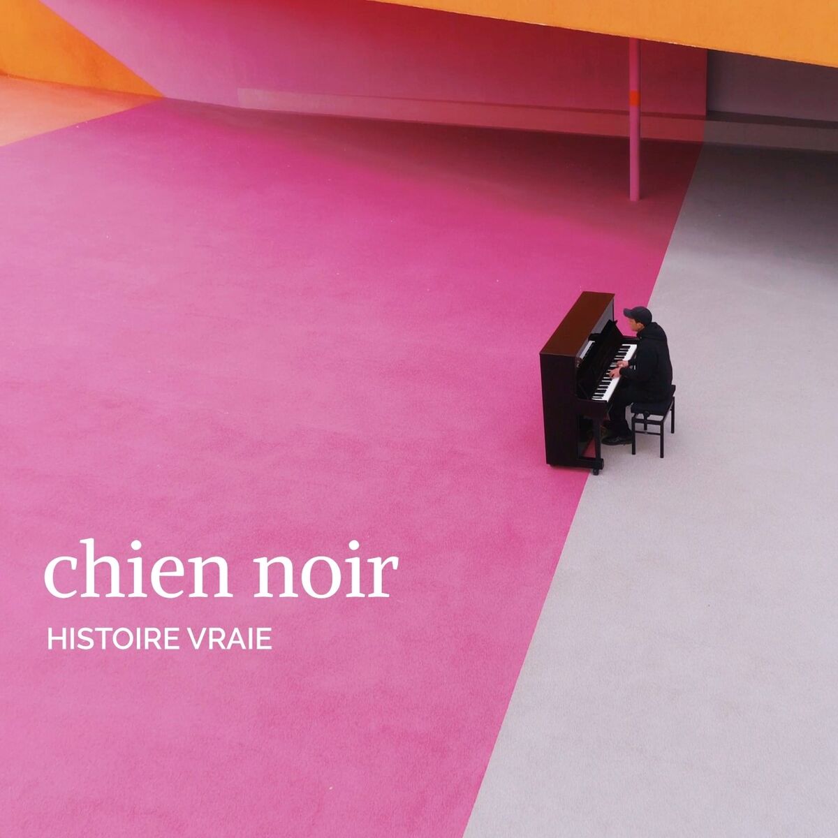 Album cover of Histoire vraie