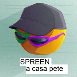 Cover of A Casa Pete