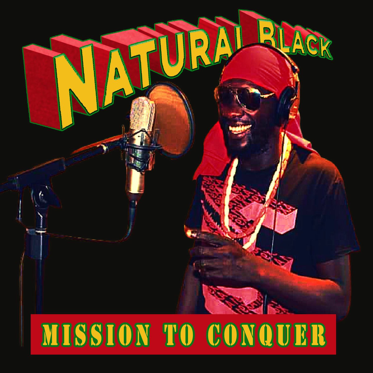 Album cover of Mission to Conquer