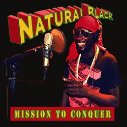 Cover of Mission to Conquer