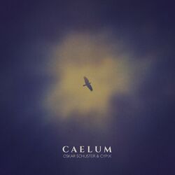 Cover of Caelum
