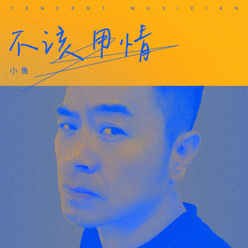 不该用情