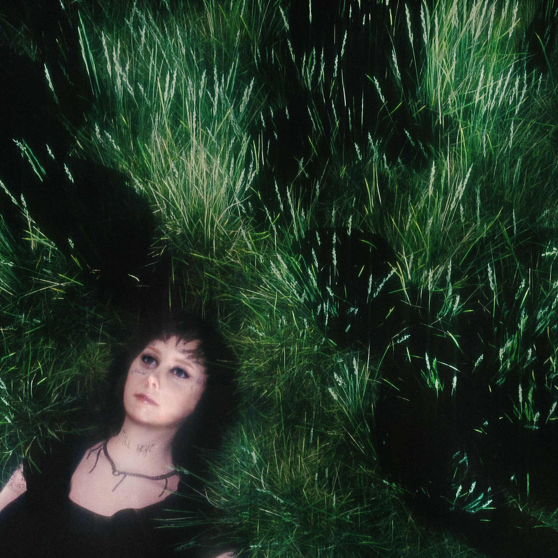 Album cover of My Way