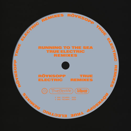 Running To The Sea (True Electric Remixes)