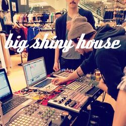 Cover of Big Shiny House