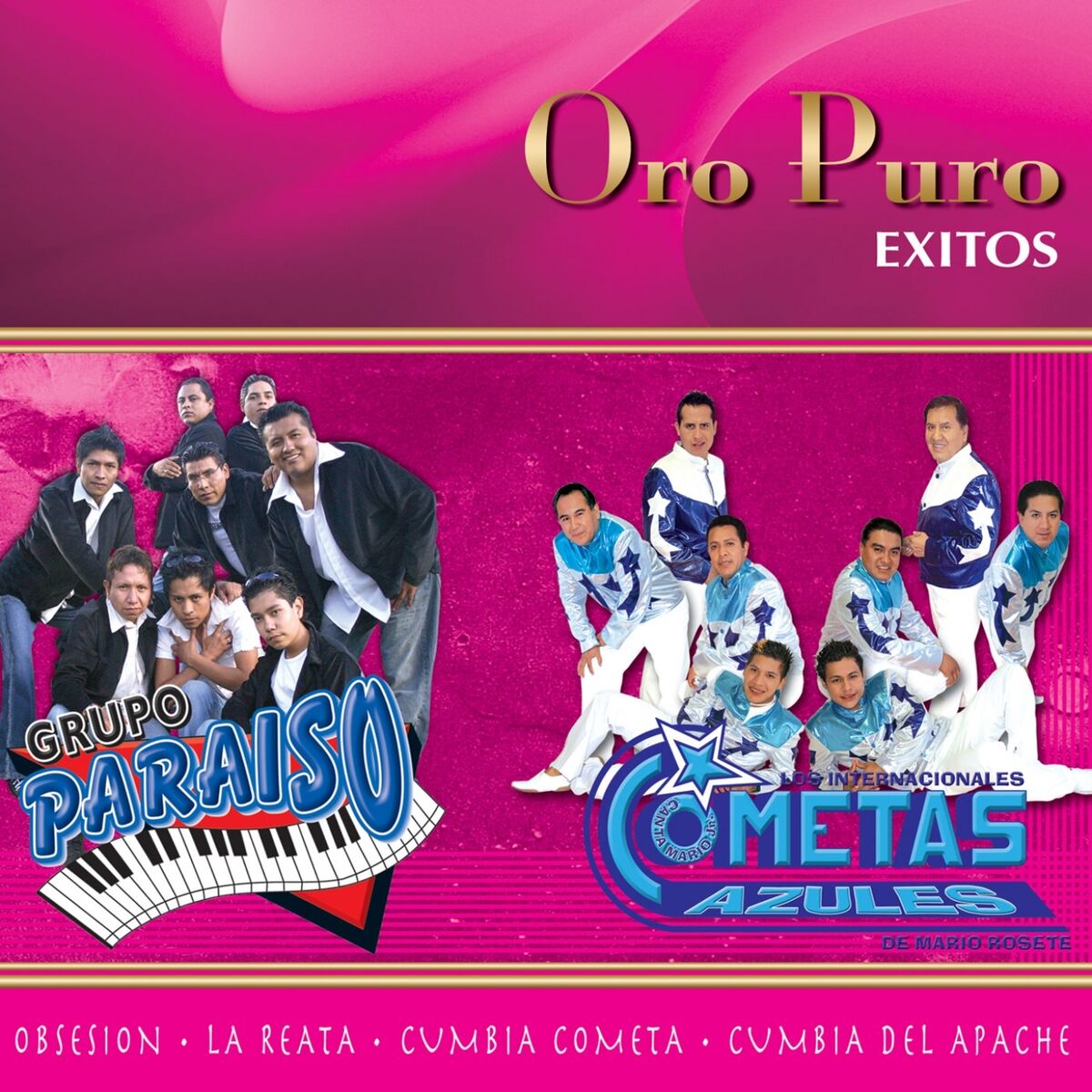 Album cover of Oro Puro: Éxitos
