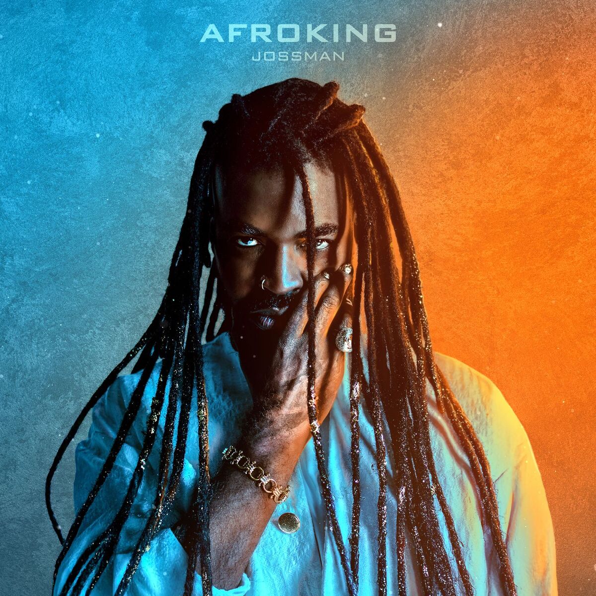 Album cover of AFROKING