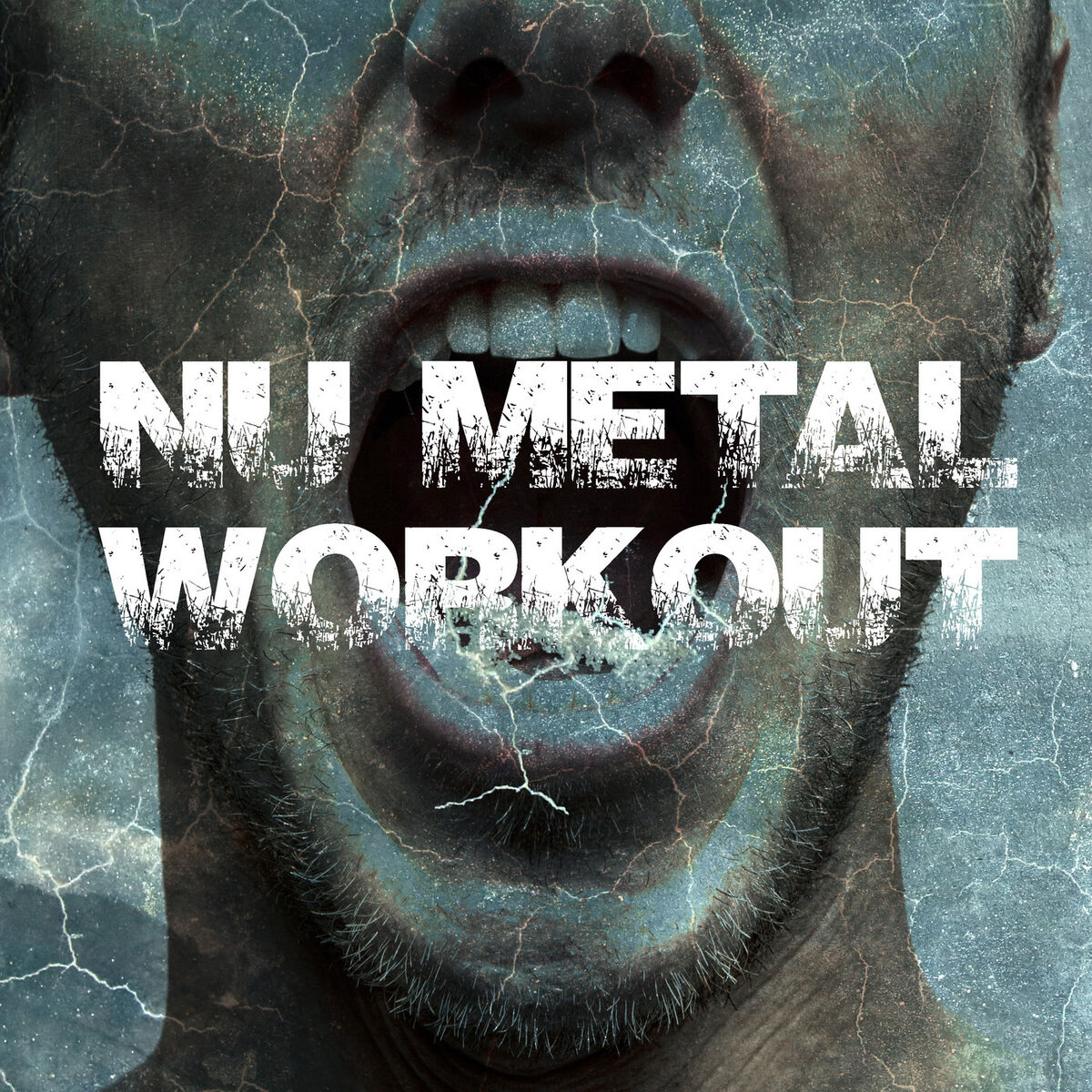 Album cover of Nu Metal Workout