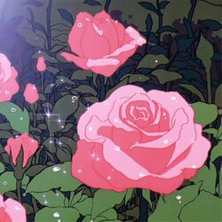 Cover of morning dew
