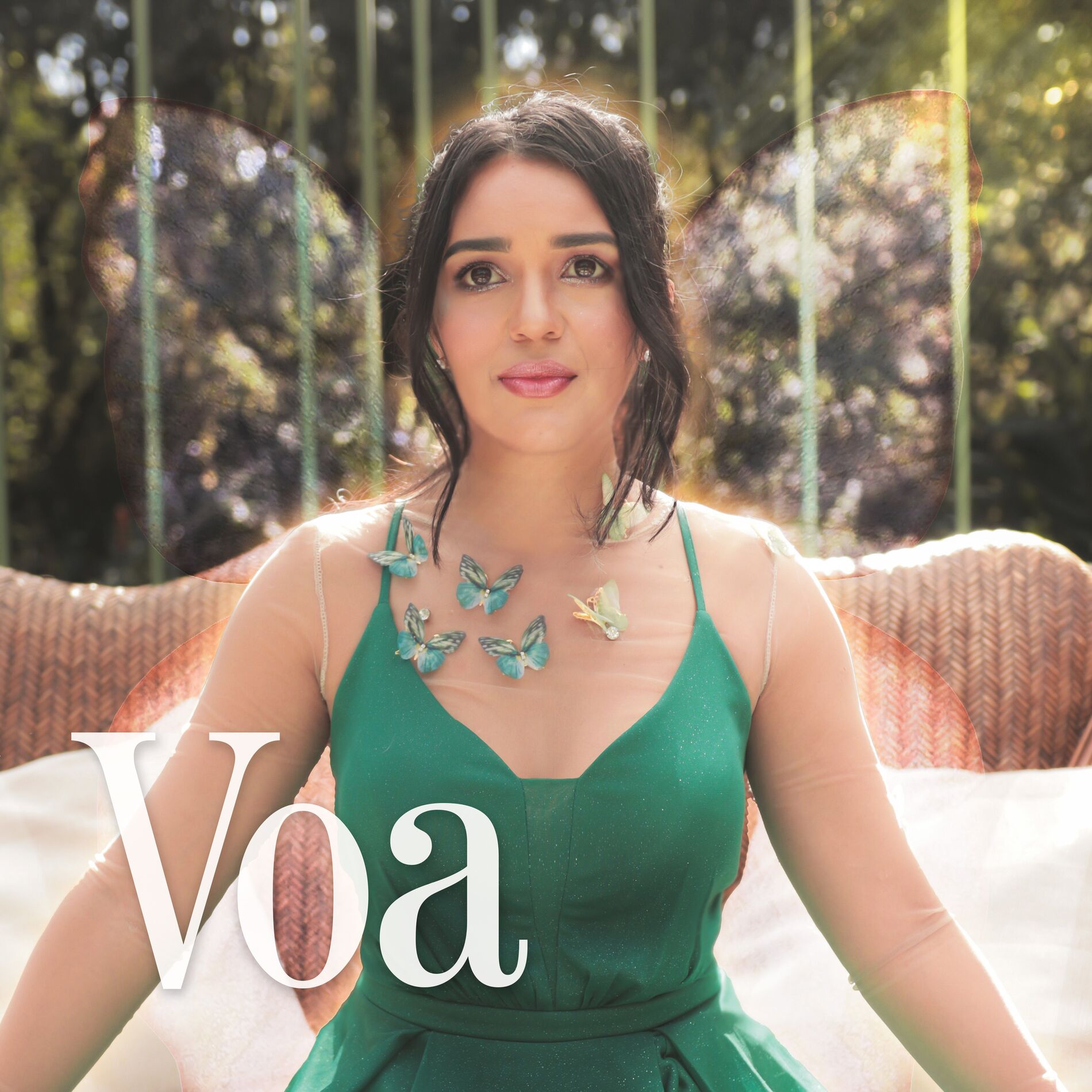 Album cover of Voa