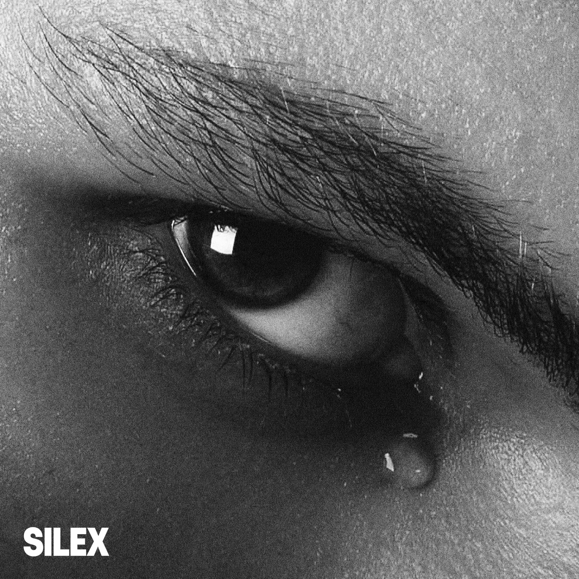 Album cover of SILEX