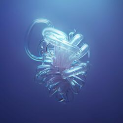 Cover of Ku