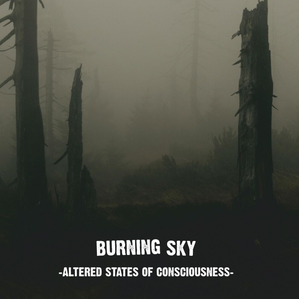 Picture of Altered States of Consciousness