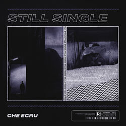 Cover of Still Single