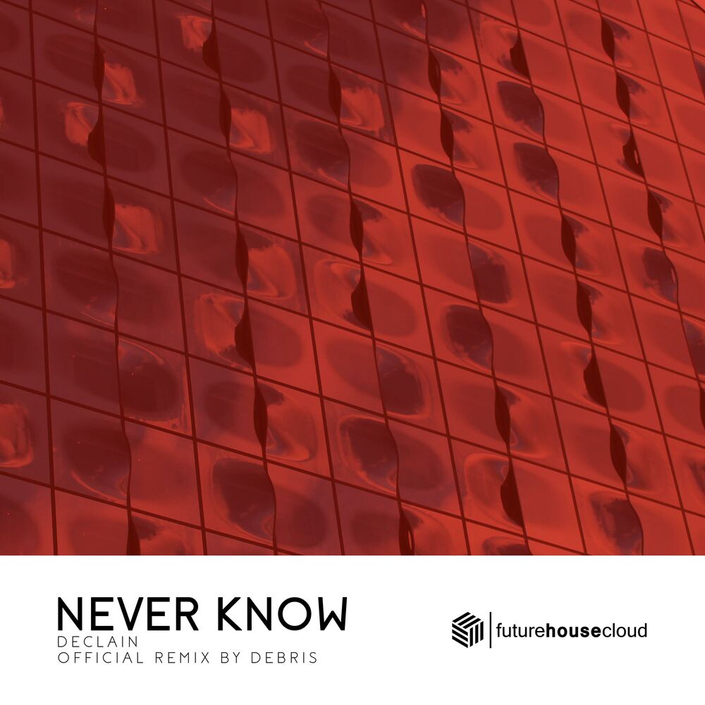 Picture of Never Know (Debris Remix)