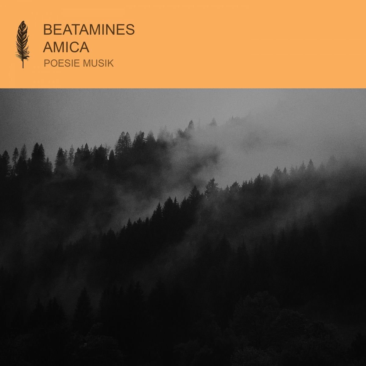Album cover of Amica