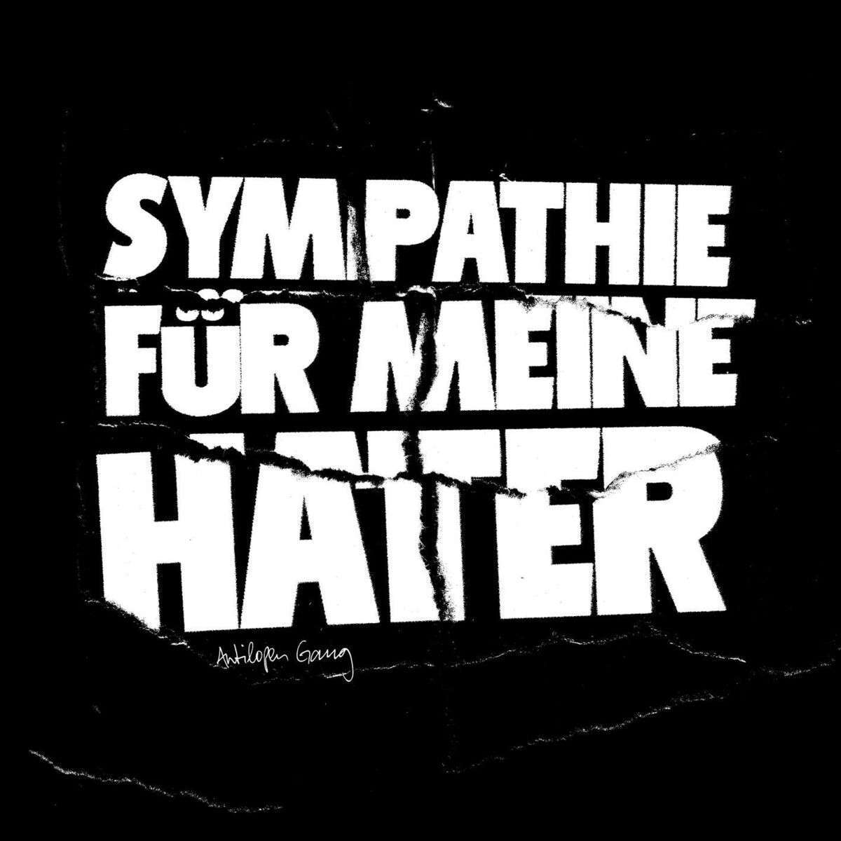 Album cover of Sympathie für meine Hater