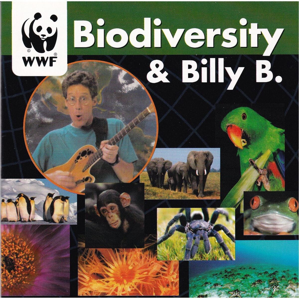 Album cover of Biodiversity & Billy B