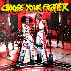 Cover of Choose Your Fighter