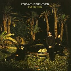 Cover of Evergreen (Expanded)