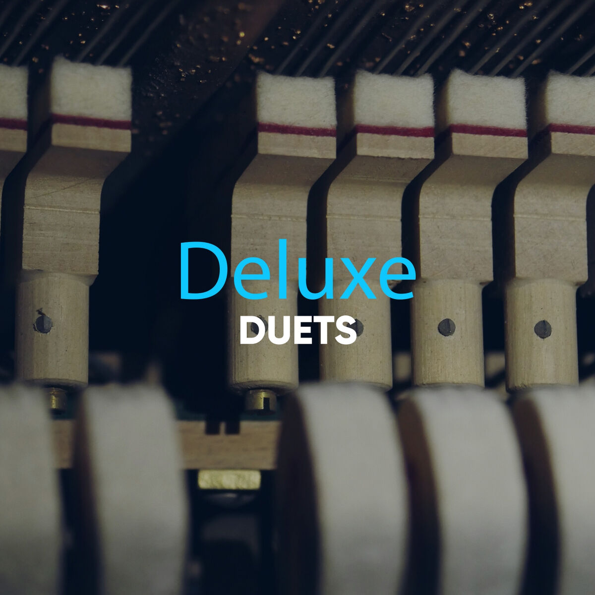 Album cover of Deluxe Evening Duets