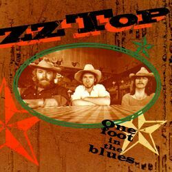 Cover of One Foot in the Blues