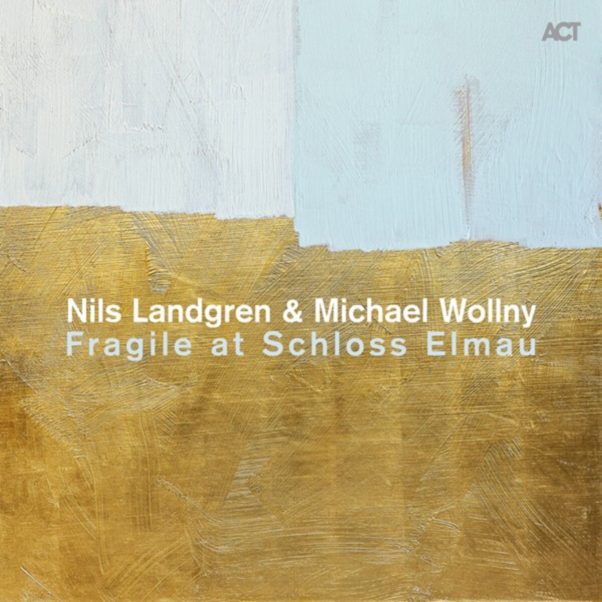 Album cover of Fragile
