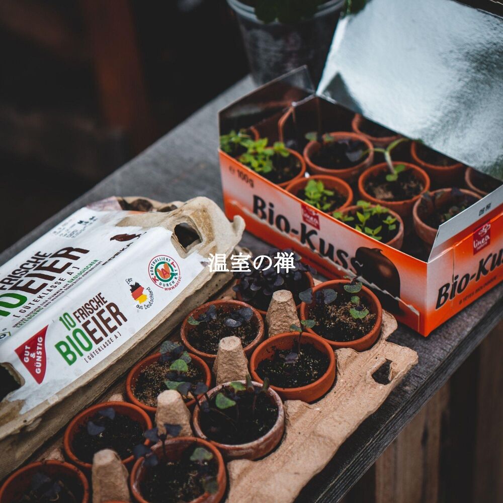 Picture of 温室の禅