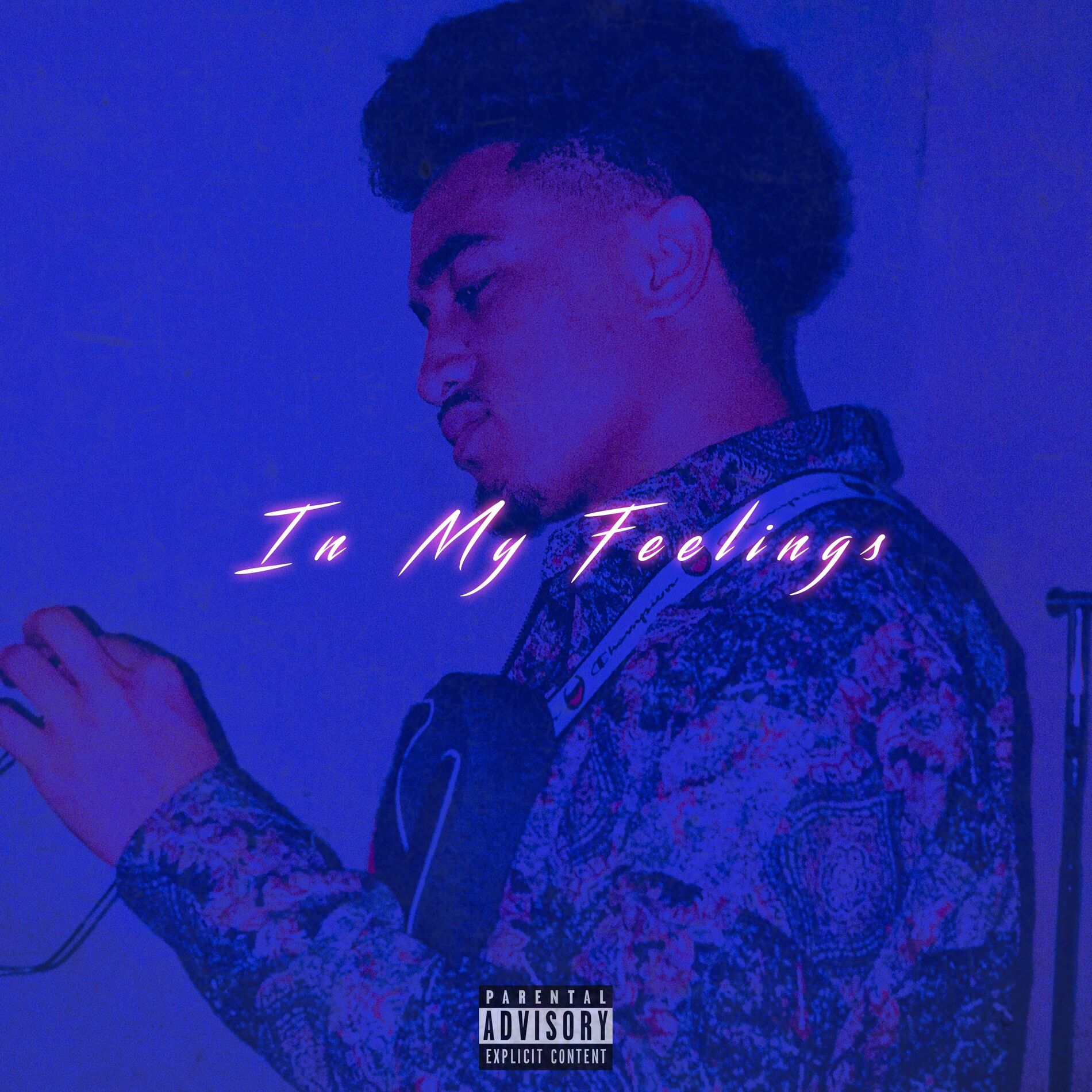 Album cover of In My Feelings