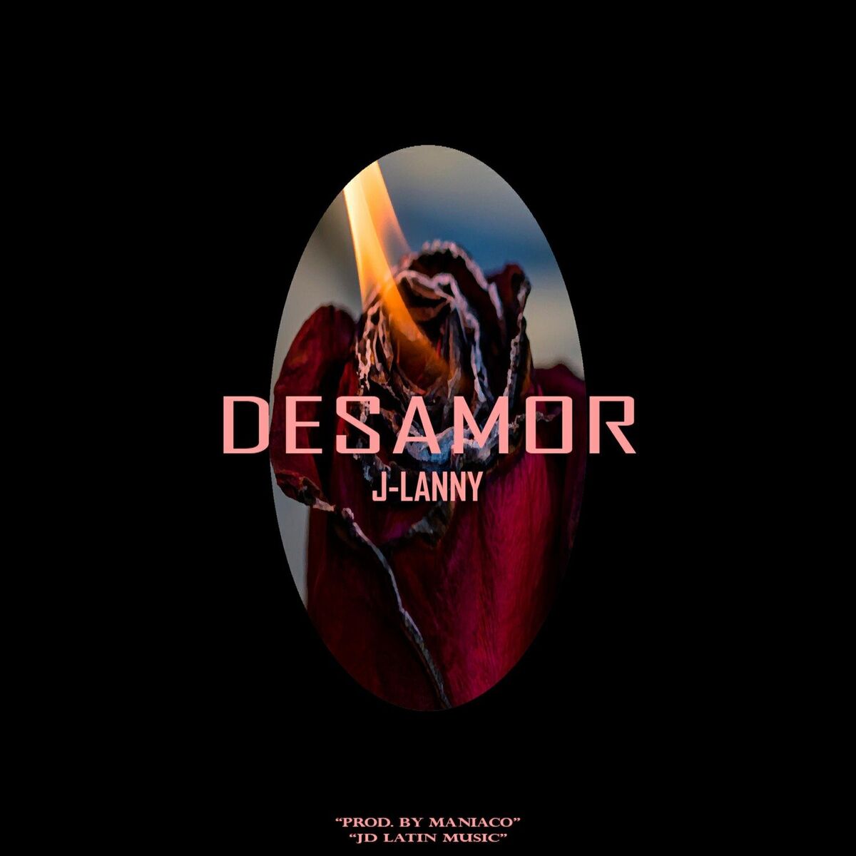 Album cover of Desamor